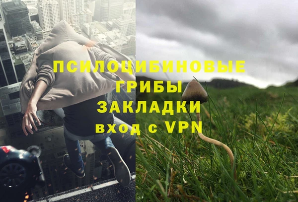 соль ск Балабаново