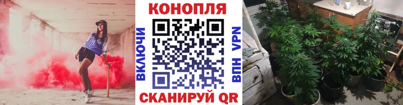 закладки  Геленджик  Марихуана гибрид 